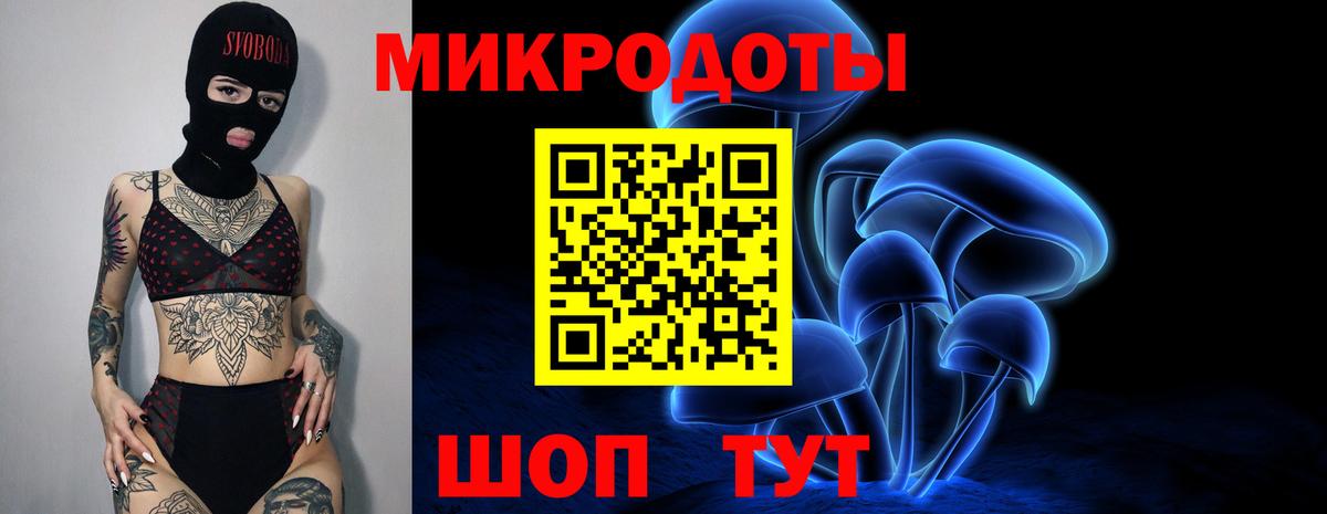 Псилоцибиновые грибы Psilocybe Туапсе